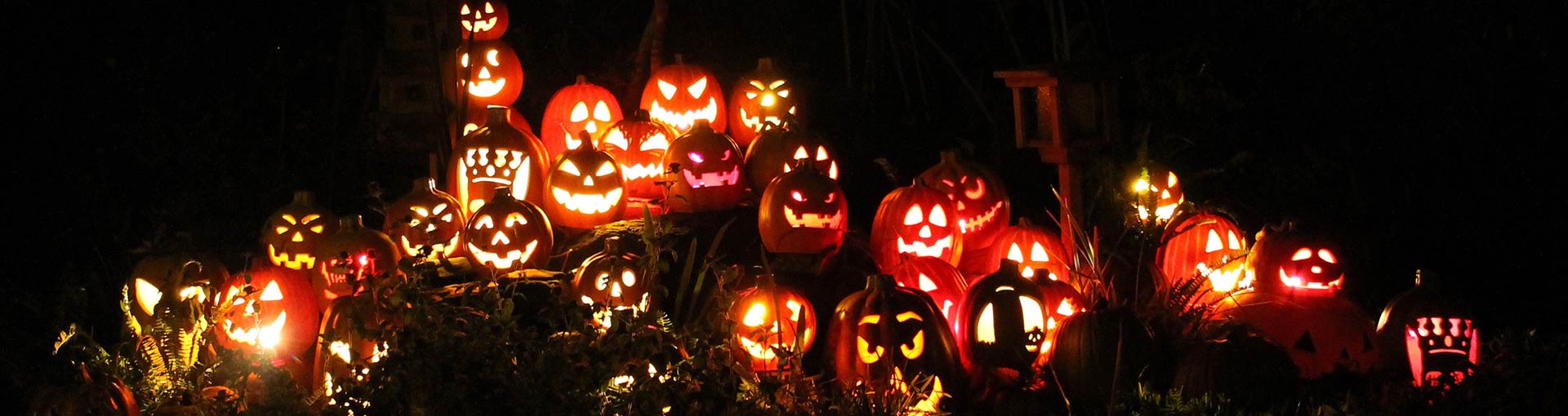 Jack-o-lanterns Pumpkins Glow
