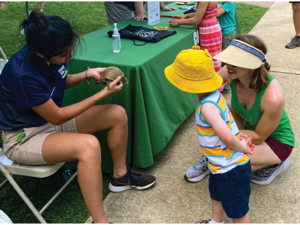 Volunteer showing turtle to a toddler