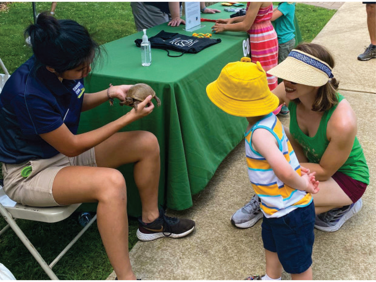 Volunteer showing turtle to a toddler